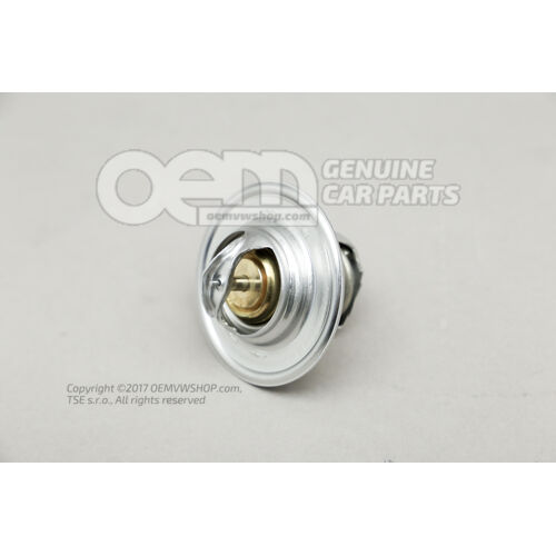 Termostat 050121113C