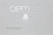 orzech 155905370 (3)