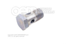 Śruba banjo M14X1,5 N  0210748 (1)